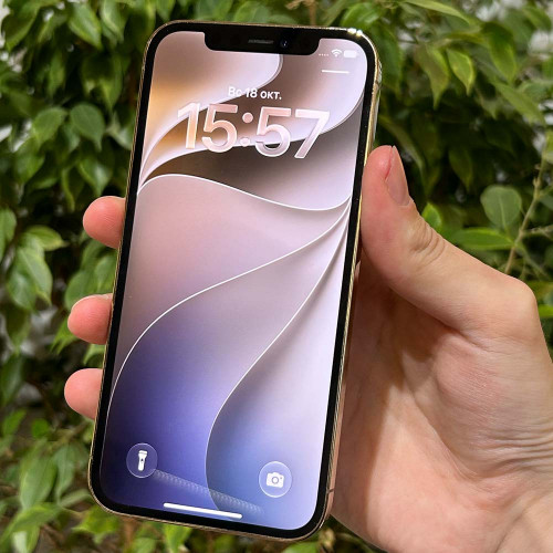Подержанный Apple iPhone 12 Pro 128GB SIM+eSIM Золотой (354049343773452)